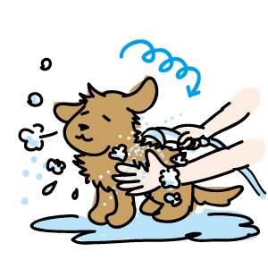 いろいろ シャンプー イラスト シャンプー イラスト 無料 Saikonodownloadmuryogazo