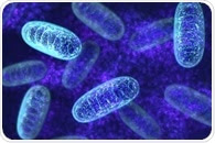 Mitochondrial and Nuclear Genome Interactions