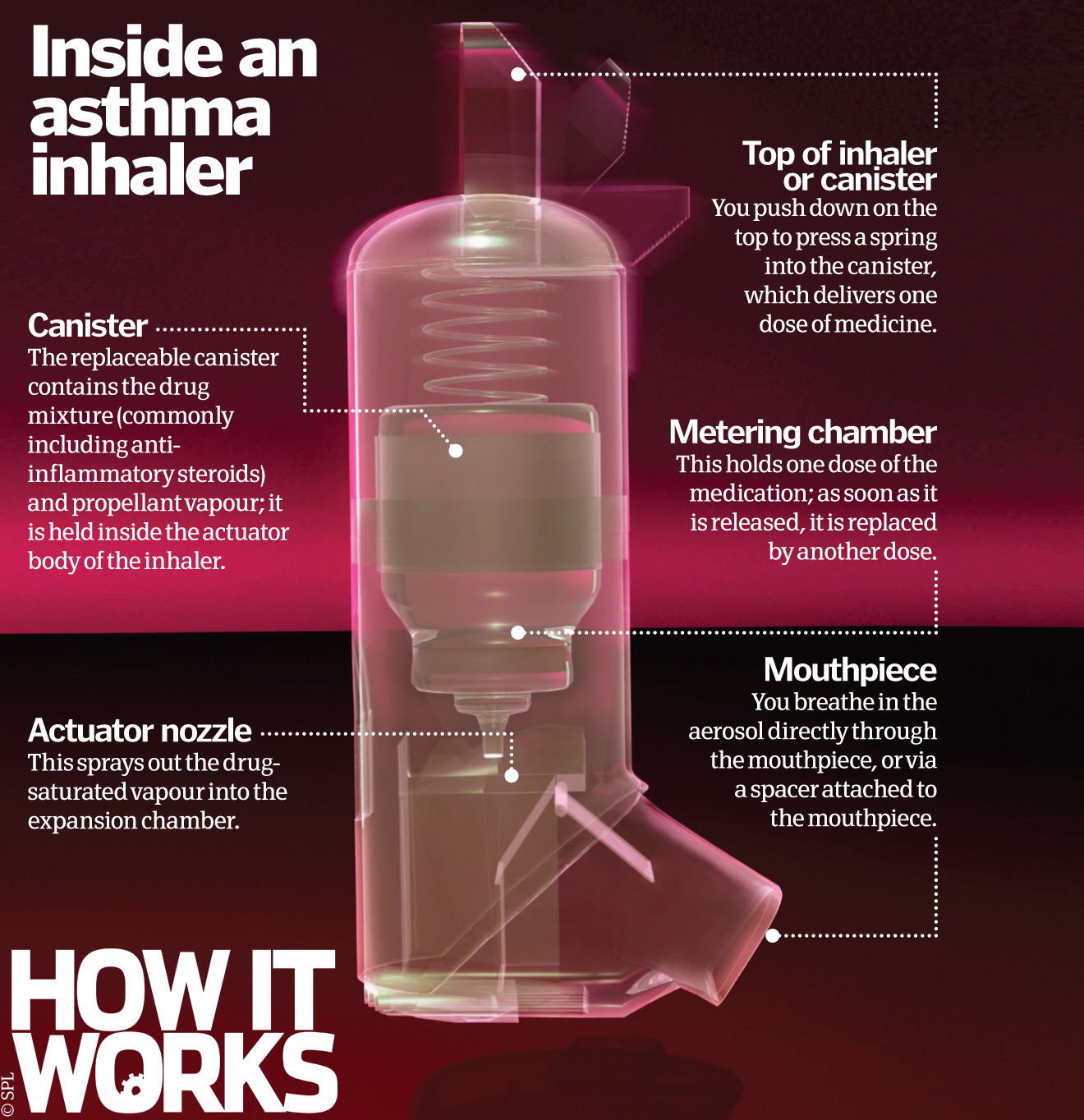 Asthma Inhalers Uk Colours - Asthma Lung Disease