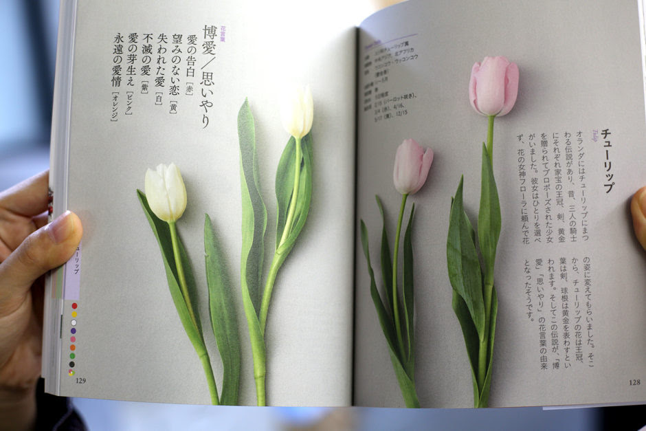 50 オレンジ 花 図鑑 すべての美しい花の画像