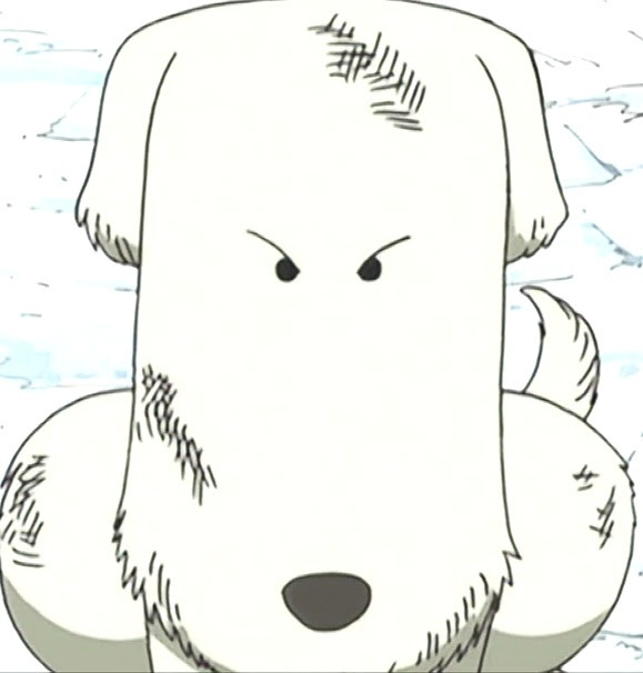 Image Selectionnee ワンピース 犬 シュシュ ワンピース 犬 シュシュ Rolasblogjpimg