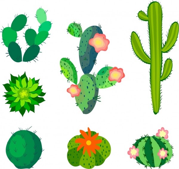 35 Ide Gambar Sketsa Tanaman Kaktus  Tea And Lead