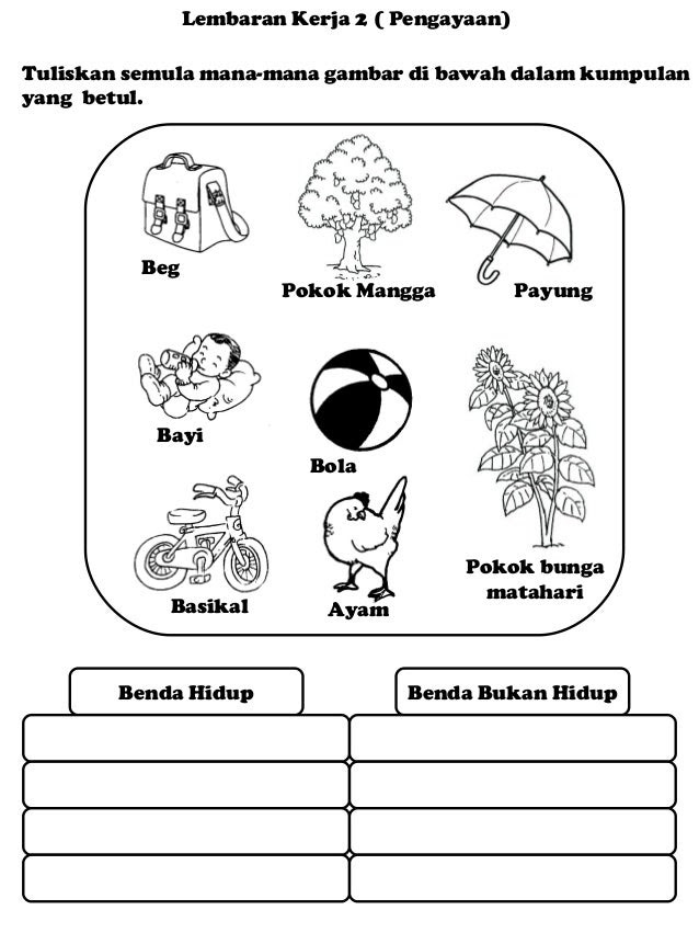 Contoh Kertas Kerja (worksheet) - Contoh IA