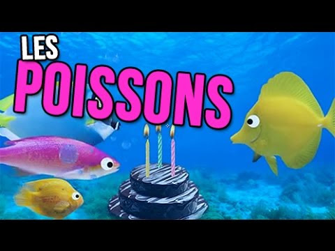 Anniversaire Humour Youtube Janean
