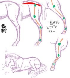 0以上 馬 イラスト 簡単 書き方 馬 イラスト 簡単 書き方