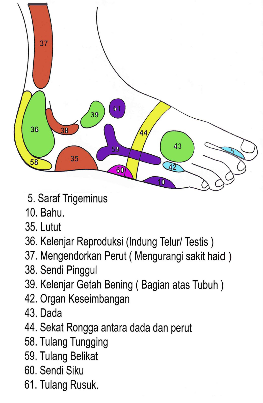 Pijat Refleksi Untuk Batuk Flu - Pijat Gaol
