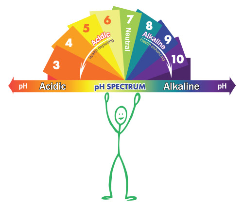 Acidic-alkaline-phchart_22016_3