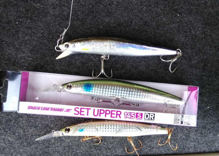 50 セットアッパー125s Dr おすすめカラー 魚のすべて