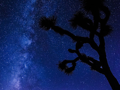 かっこいい タブレット 壁紙 縦 の最高のコレクション すべての美しい花の画像