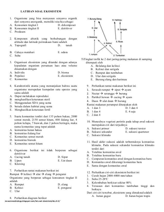  Contoh  Soal  Uraian  Ekosistem Hontoh