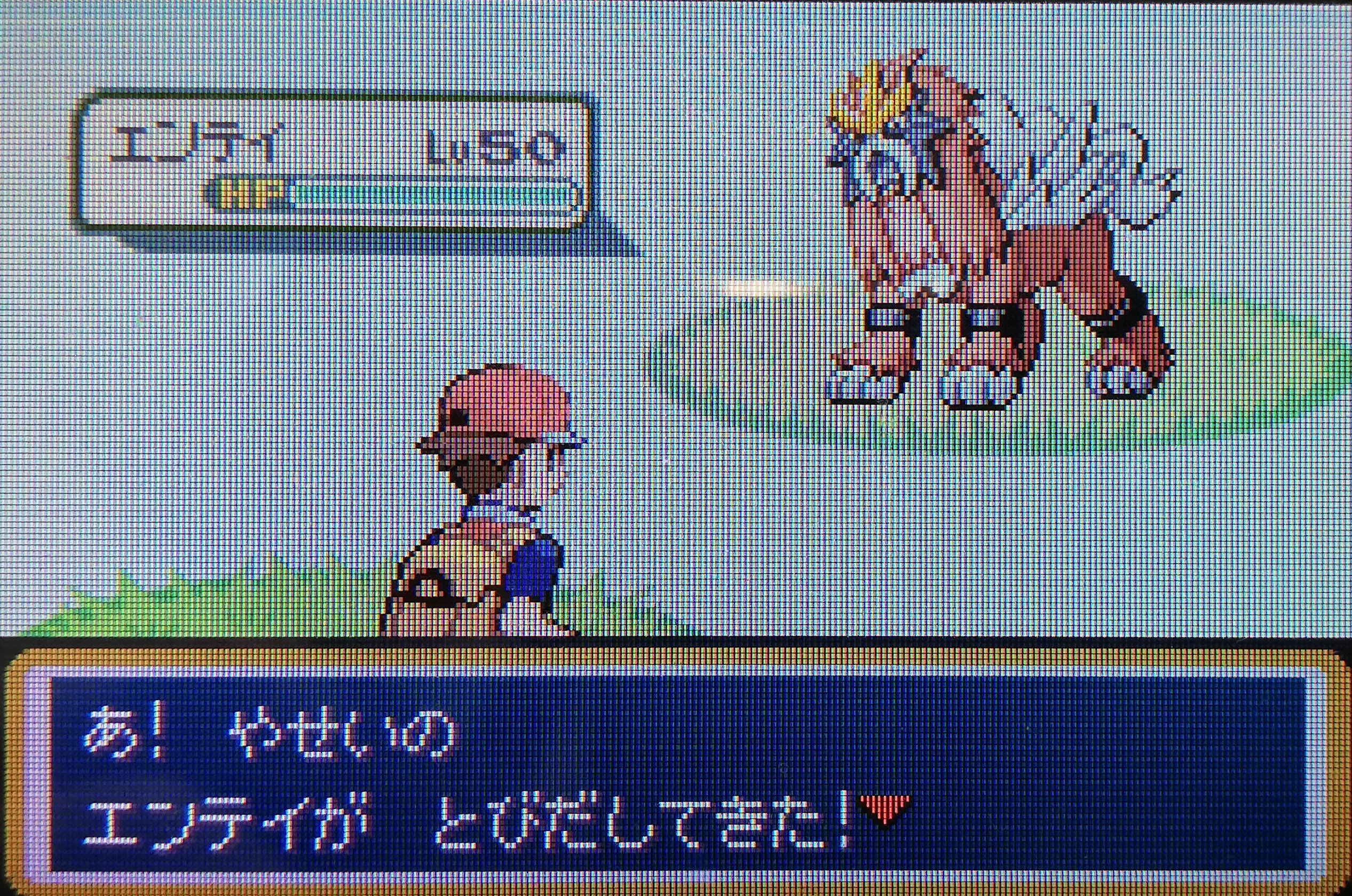 Hgss エンテイ イメージポケモンコレクション