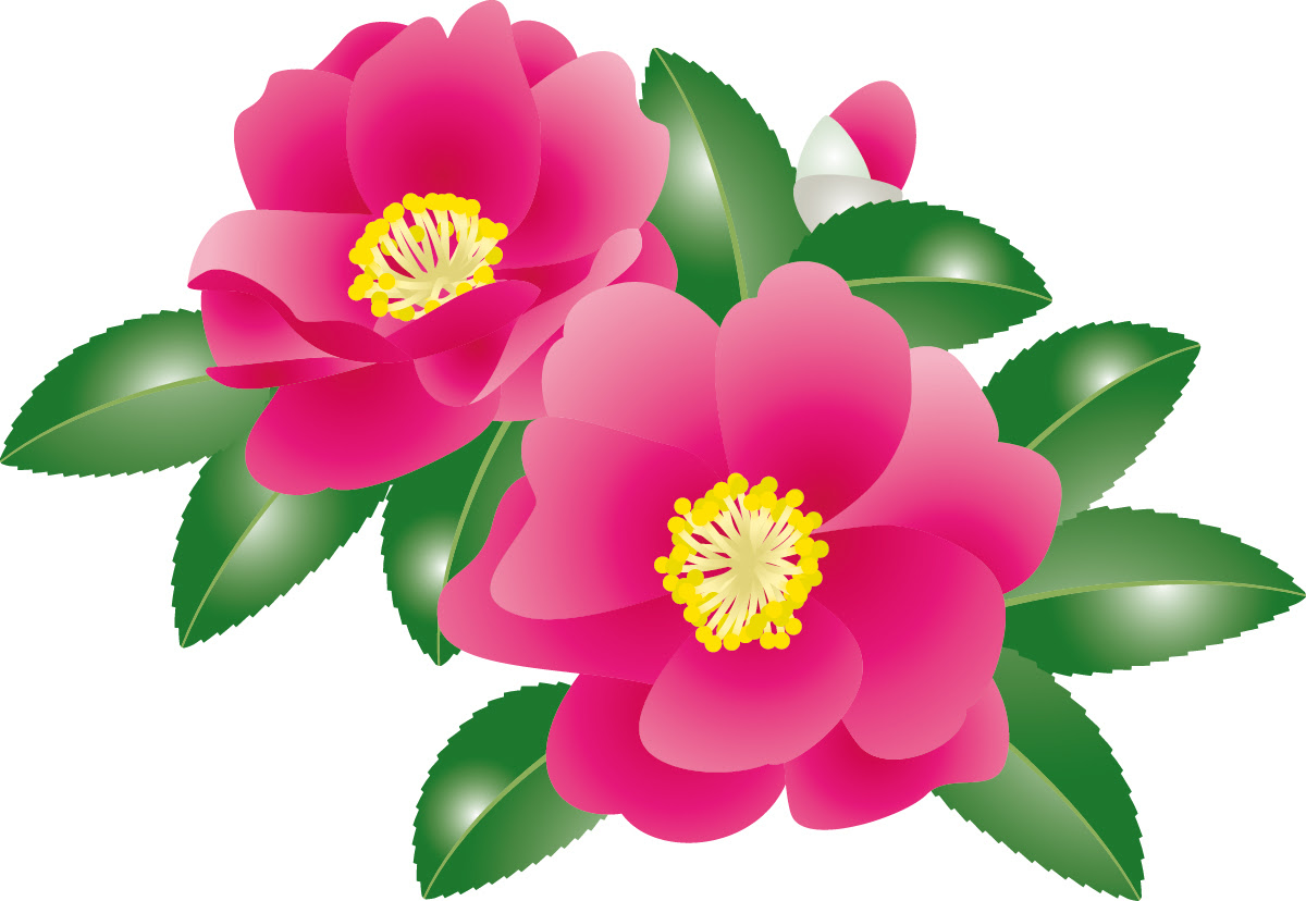 綺麗な11月 花 イラスト インスピレーションを与える名言