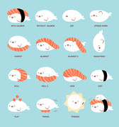 ディズニー画像のすべて 綺麗なかわいい あざらし アザラシ イラスト