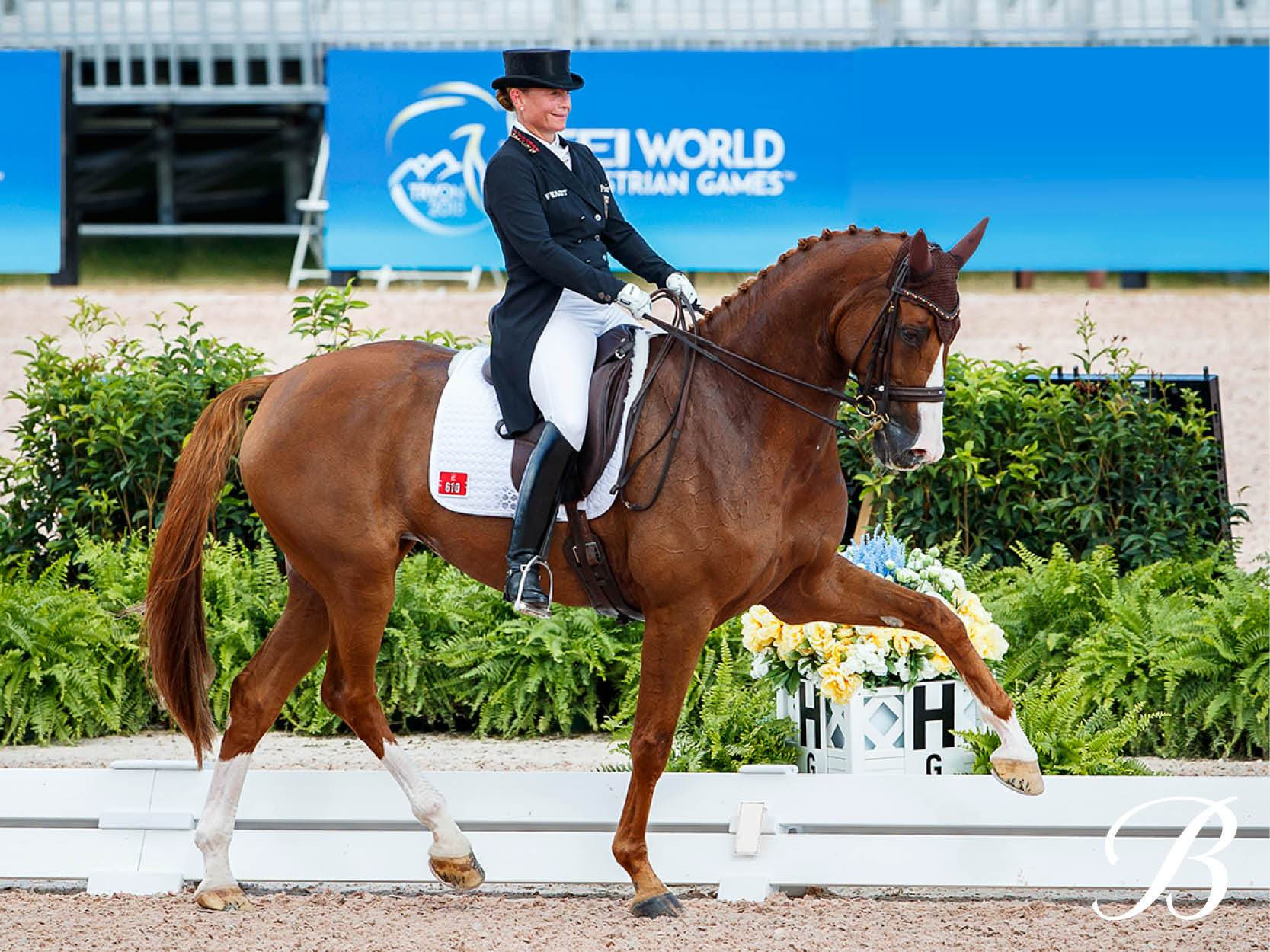 Isabell werth, född 21 juli 1969 i rheinberg i tyskland, är den mest framgångsrika dressyrryttaren i modern tid. Isabell Werth Bates Saddles