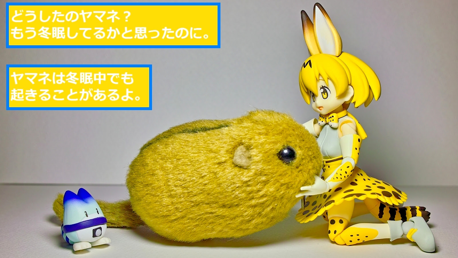 ユニークラッキービースト 壁紙 最高の花の画像
