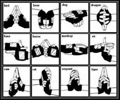 Naruto And Sasuke Combined Hand Sign - TORUNARO