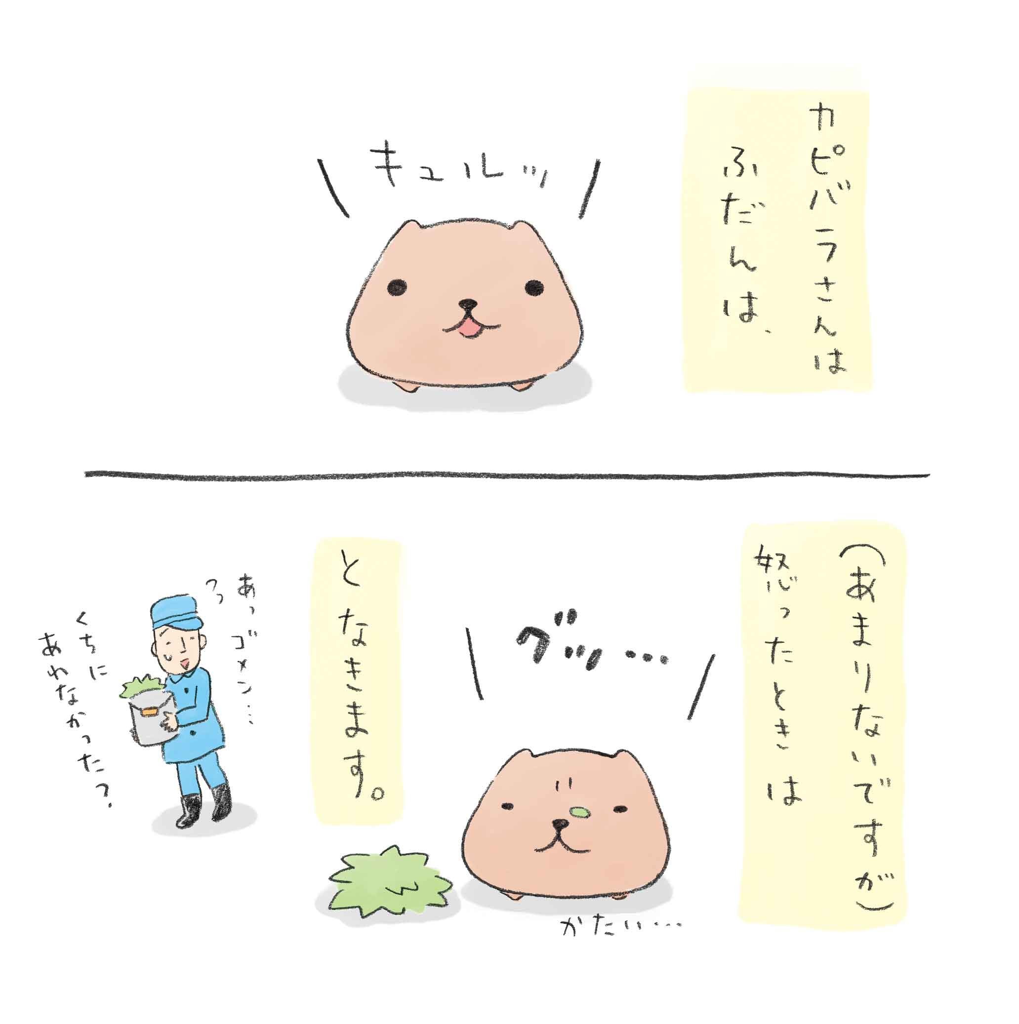 コレクション カピバラ さん 待ち受け