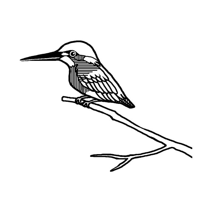 最高の無料イラスト ラブリー鳥 イラスト 無料 白黒