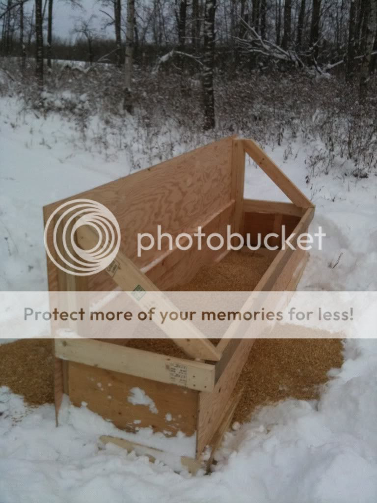 Build a shed trap | SLP