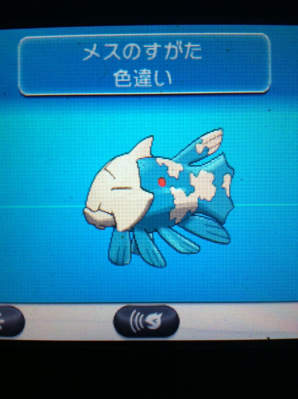 ジーランス サンムーン イメージポケモンコレクション