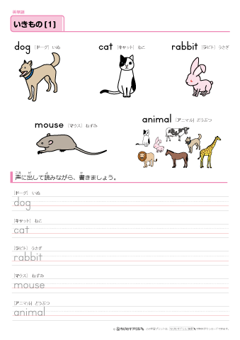英語 おしゃれな単語