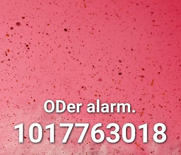 Buy 90 Robux Alarm Roblox Id - roblox sound id alarm