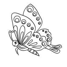 Grab your free copy of one of our most popular and engaging activity packets! Butterfly Coloring Pages 43 Animals Of The World Coloring Books For Kids Children S Favorite Animals Coloring Pages All The Animals To Color In Online And Print Out For Children