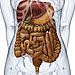 How Much Do You Know About Ulcerative Colitis?