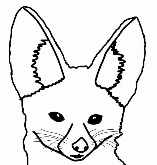 Download 265+ Mammals Foxes Fennec Fox Coloring Pages PNG PDF File