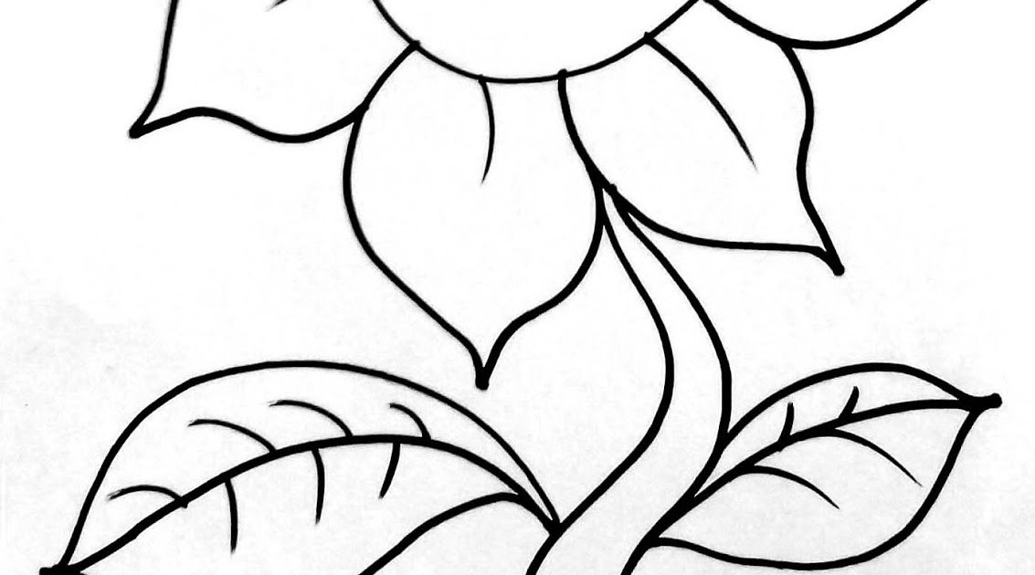 Sketsa Gambar Kolase Bunga Matahari - Koleksi Gambar Bunga