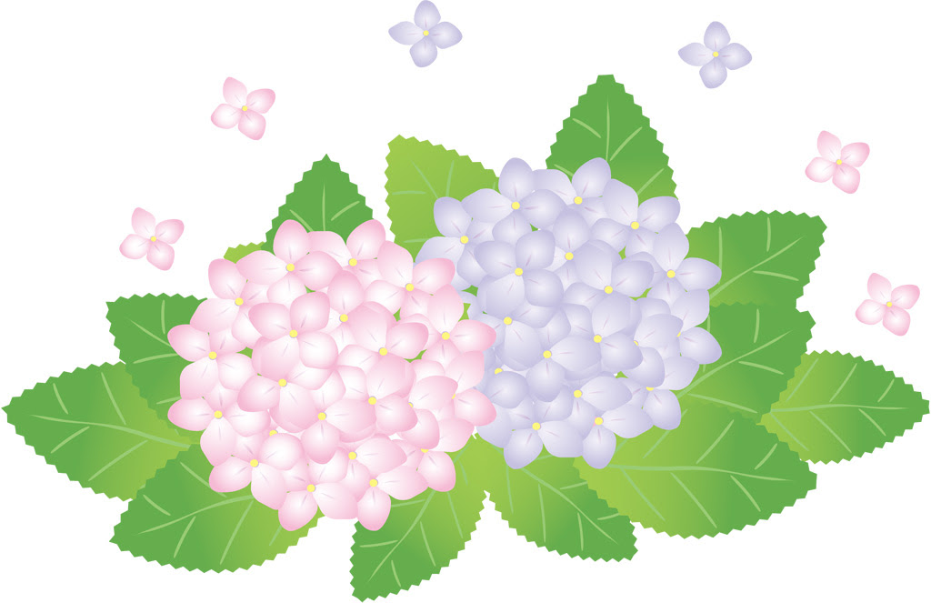 美しい花の画像 無料印刷可能6月の花 イラスト
