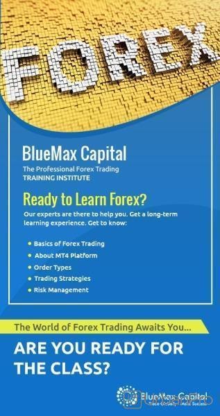 forex trading training software
