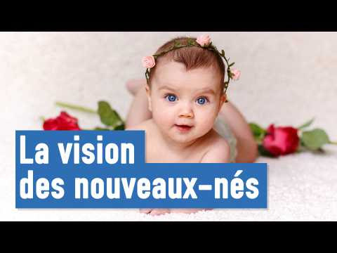 Question de la semaine : comment voient les bébés ?