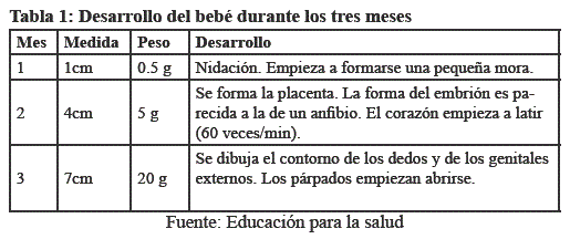 Como Es El Tamano De Un Bebe De 5 Meses Consejos De Bebe