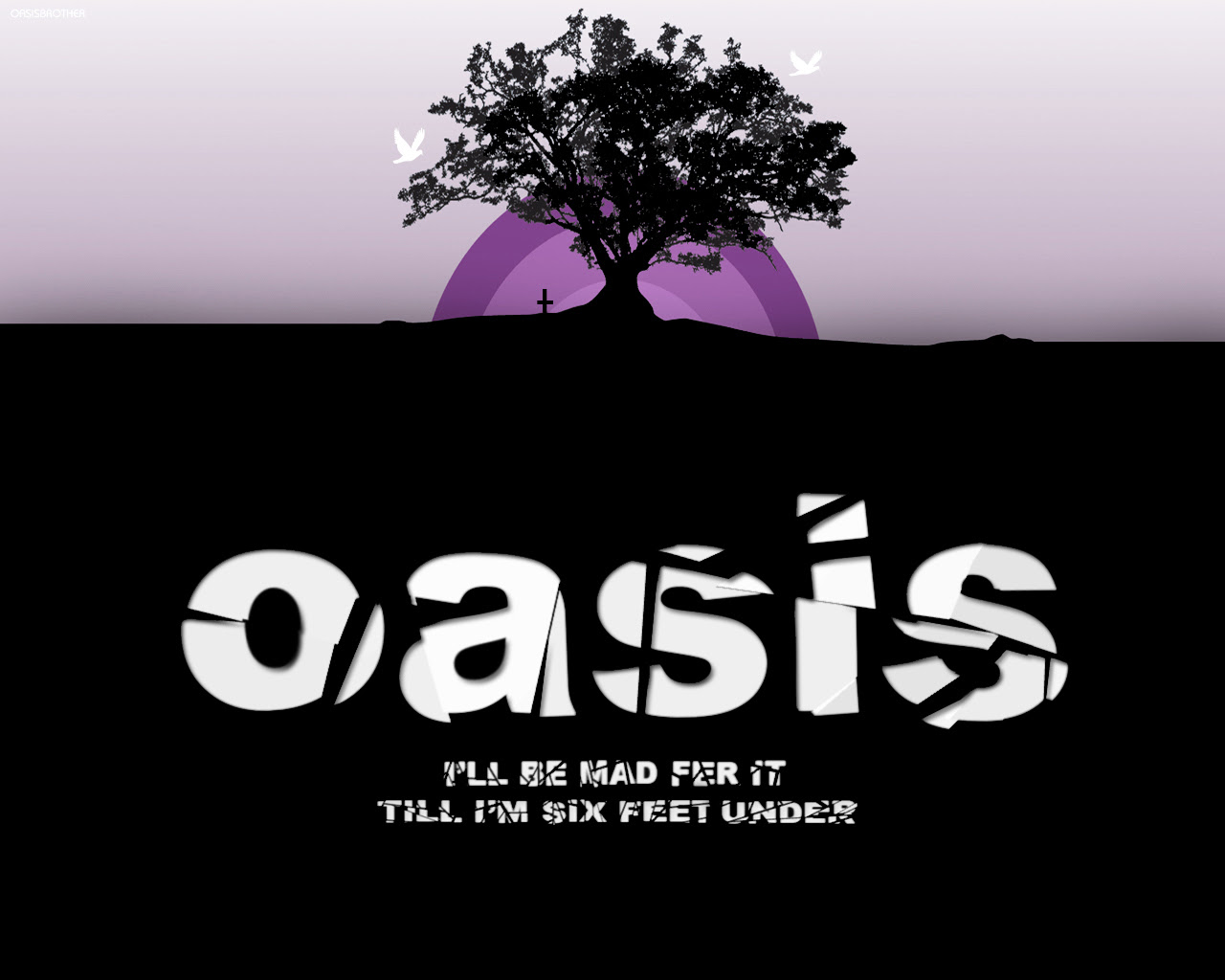 最高のoasis 壁紙 最高の花の画像