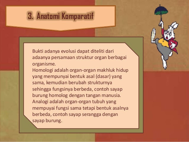 Contoh Evolusi Homolog - Contoh Agus