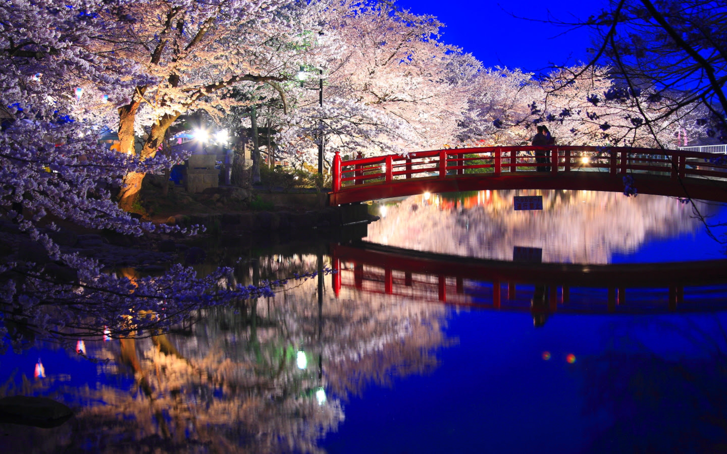 スマホ 夜桜 桜 かっこいい 壁紙 Saesipapictnwx