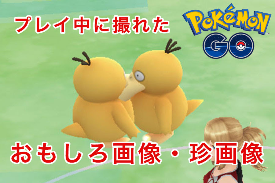 動物画像無料 最新のhdポケモン 面白い 画像
