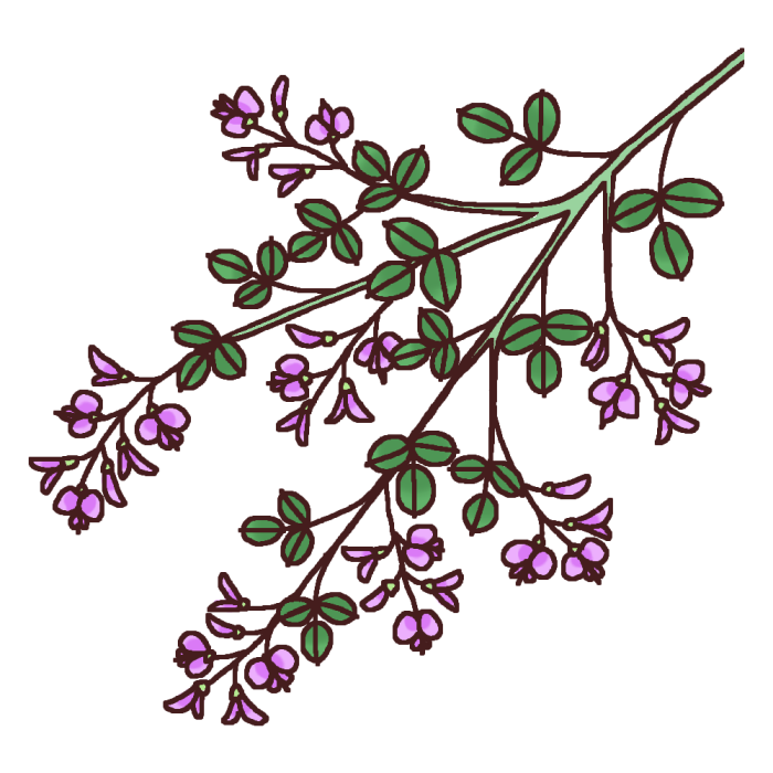 35 萩の花 イラスト かわいい かっこいい無料イラスト素材集