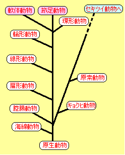 最新のhd節足動物 種類 最高の花の画像