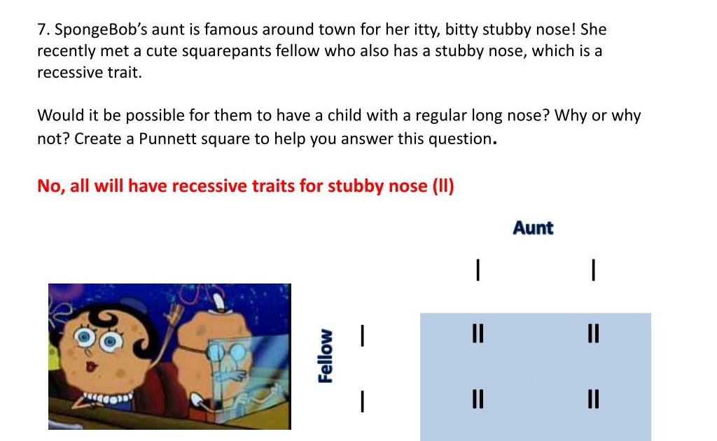 Punnett Square Practice #3 Spongebob Squarepants - Sponge ...