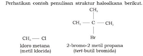 Contoh Analogi Sifat - Gontoh