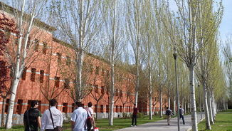 Universitat Rey Juan Carlos (Viquipèdia)