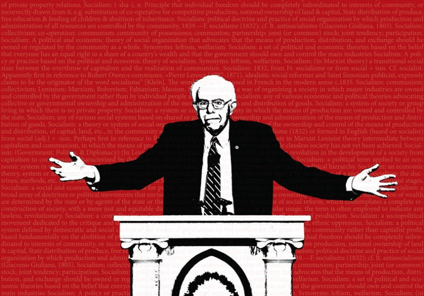 Image result for Bernie Sanders and American Socialism