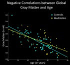 Negative correlations between global gray matter and age. The X-axis displays the chronological age (in years); the Y-axis displays the global gray matter volume (in ml). Note the less steep slope of the regression line in meditators (yellow) compared to controls (cyan). (Credit: Frontiers in Psychology)