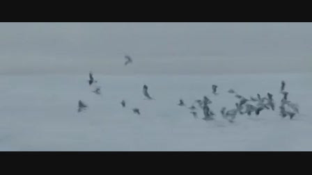 Mobiltelefonra is mp4 és mp3. Kutyahideg Teljes Film Kutyahideg Videa