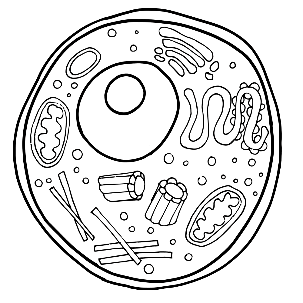 All plants are composed of one or more plant cells. Free Animal Cell Cliparts Download Free Animal Cell Cliparts Png Images Free Cliparts On Clipart Library