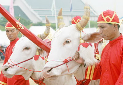 วันพืชมงคล 2564 ปีนี้ ตรงกับ วันที่ 10 พ.ค. à¸§ à¸™à¸ž à¸Šà¸¡à¸‡à¸„à¸¥