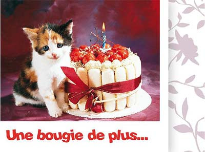 Jolie Carte Anniversaire Homme Musicale Elmers