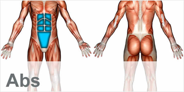 Circulatory system diagrams are visual representations of the circulatory system, also referred to as the cardiovascular system. Exercise Videos Shapesense Com